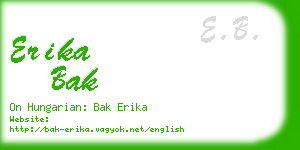 erika bak business card